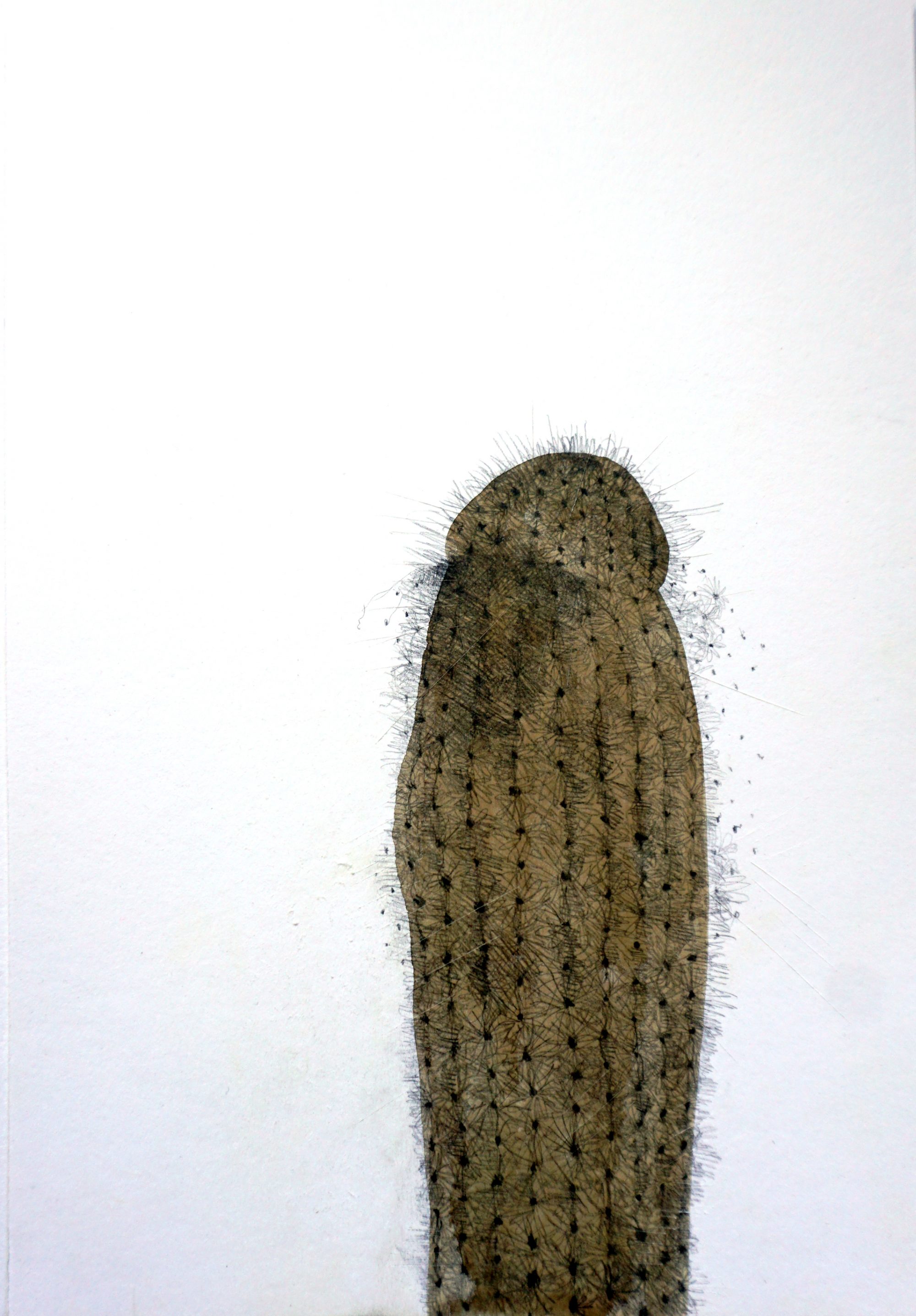 naughty cactus 5
