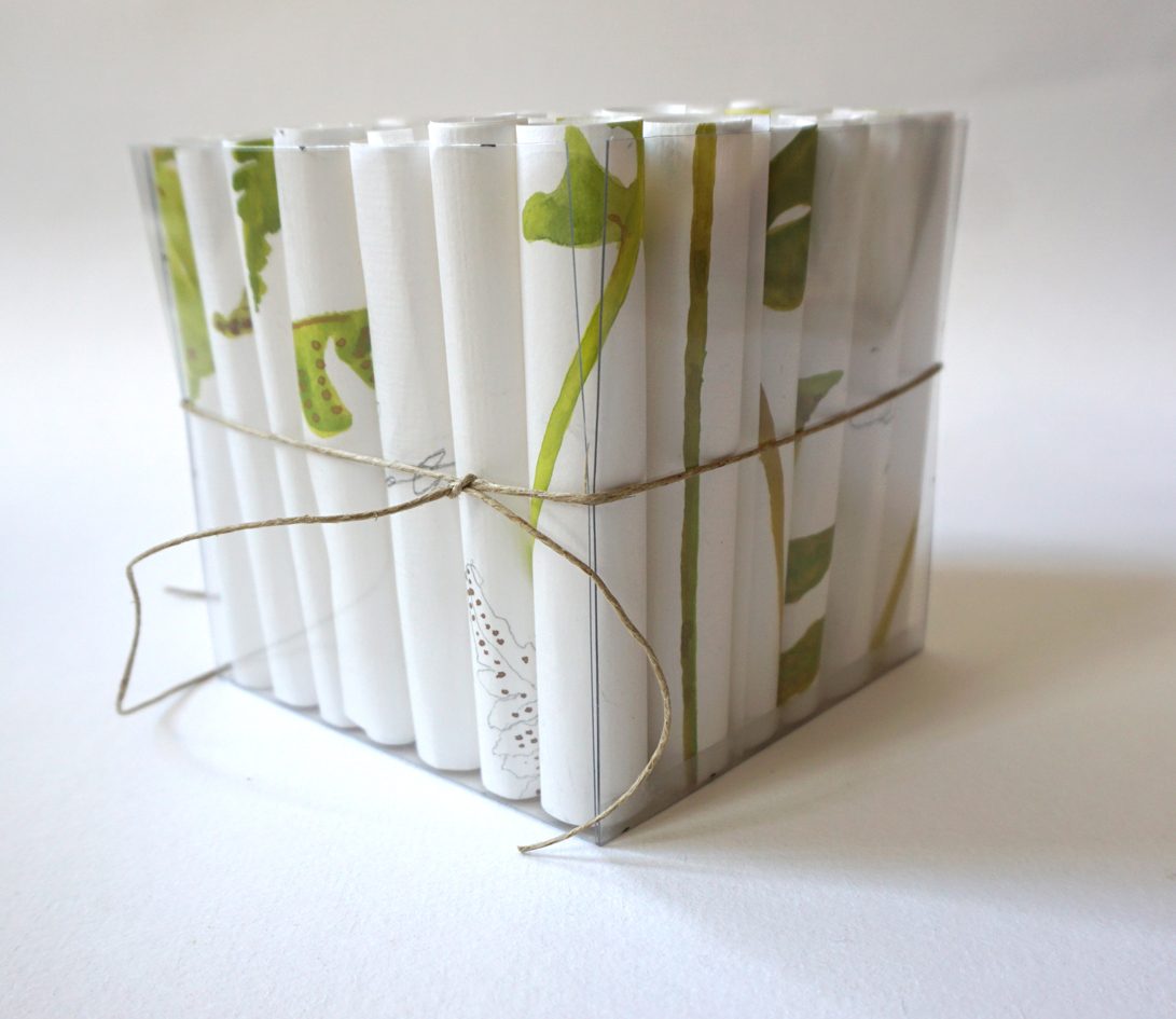 love letter to a fern 3A (small)