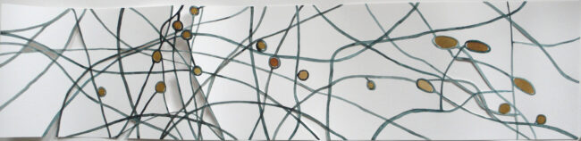 The Xylotheque Unpacked: the Life and Death of Trees