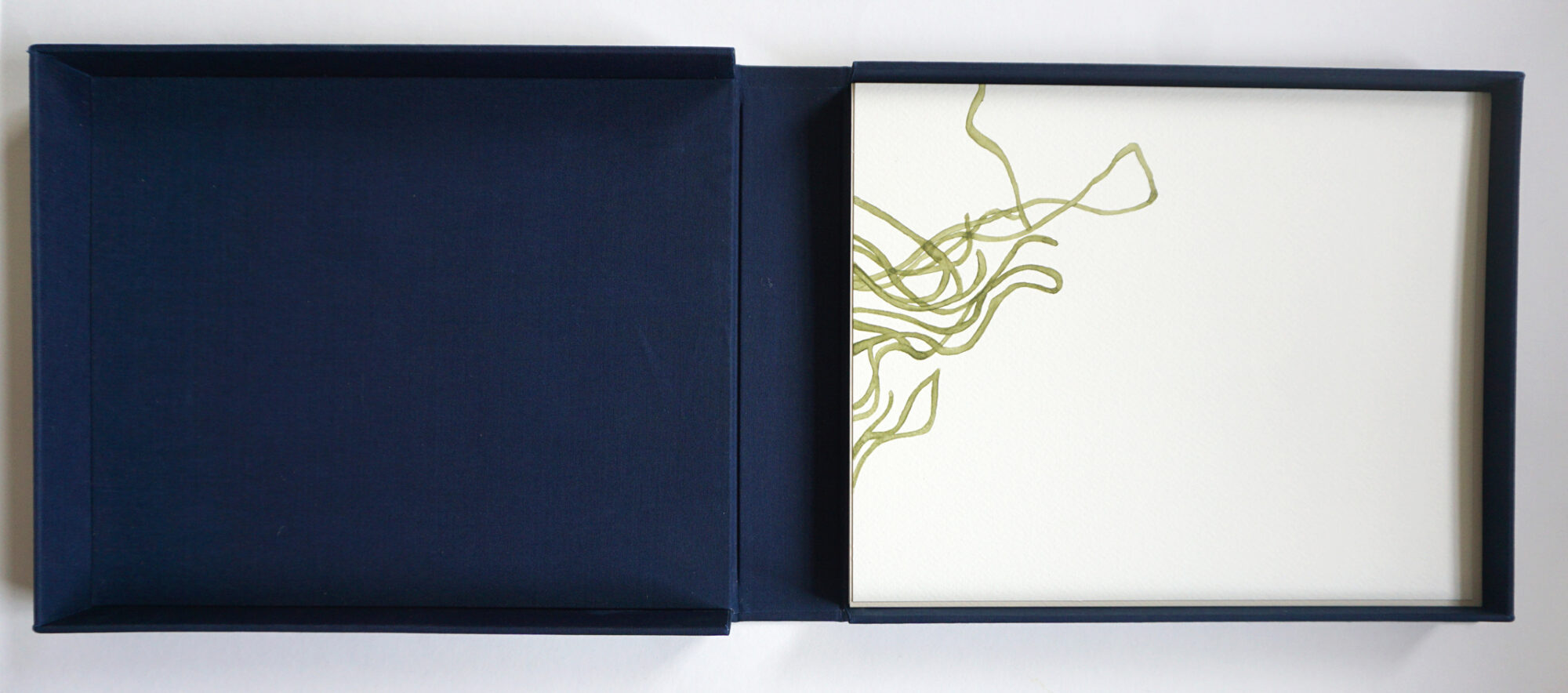 Nemalion helimthoides