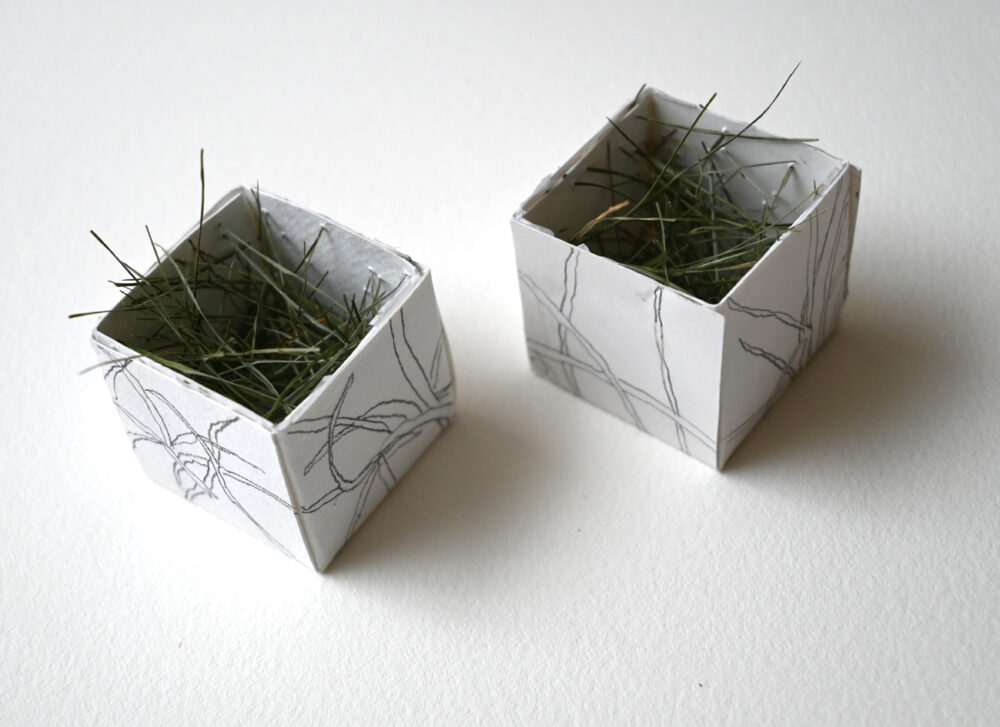 two grass cubes