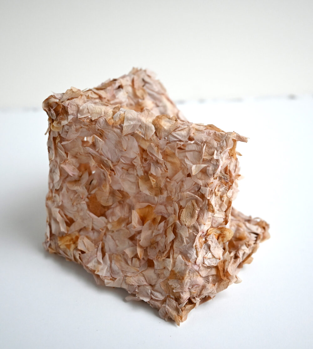 collapsed cube 3 (japanese flowering cherry petals)