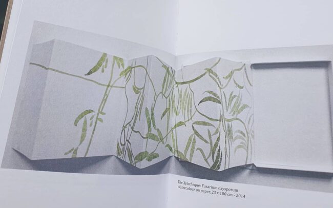 Tree Mapping presentation