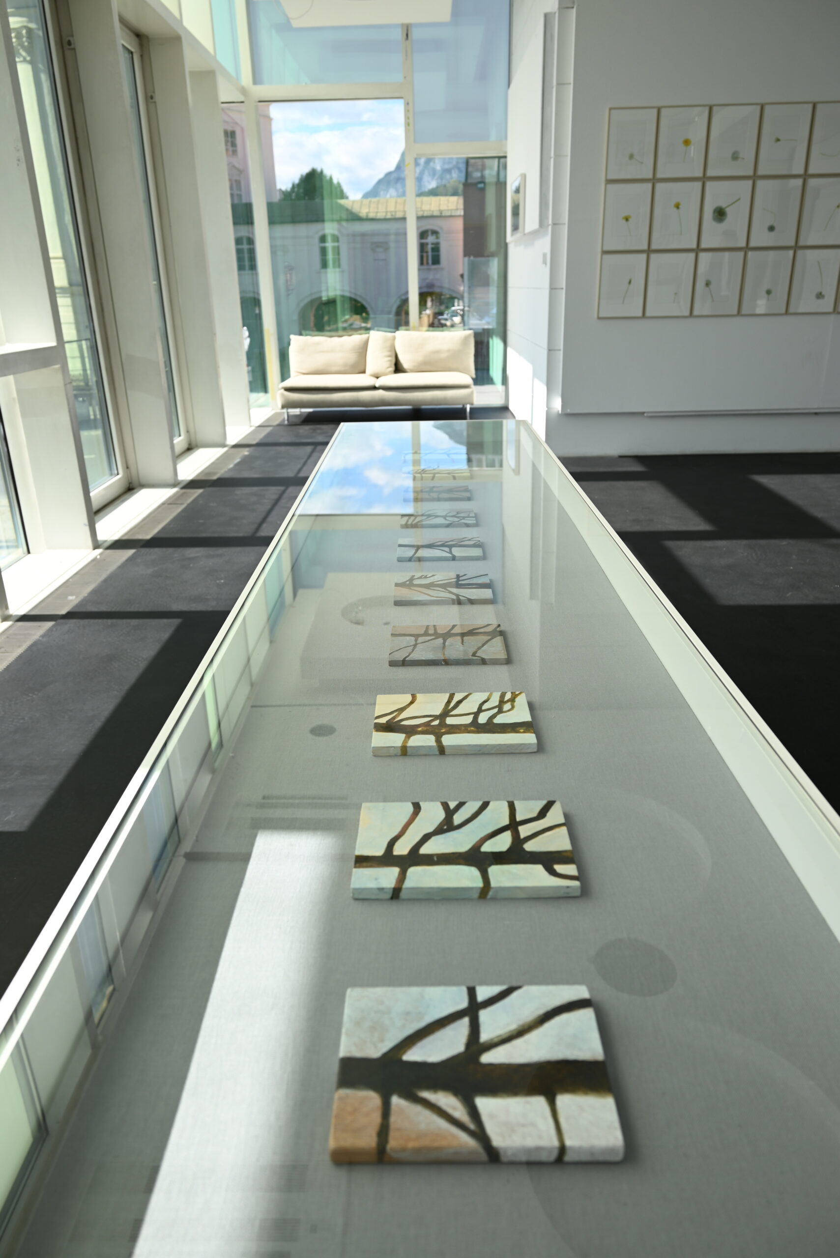 One Tree Forest INFF Solo exhibition, Innsbruck